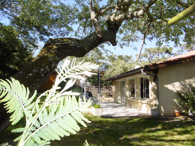 Location pour cet été sur le Cap-Ferret