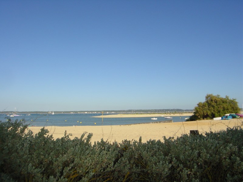 Location saisonnière centre Cap-Ferret vue bassin d'arcachon