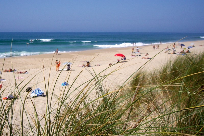 Location saisonnière Cap-Ferret  villa à louer