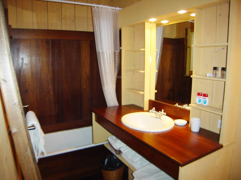 Location villa esprit cabane en bois pour 6 personnes CAP FERRET VILLAGE LA VIGNEvacances