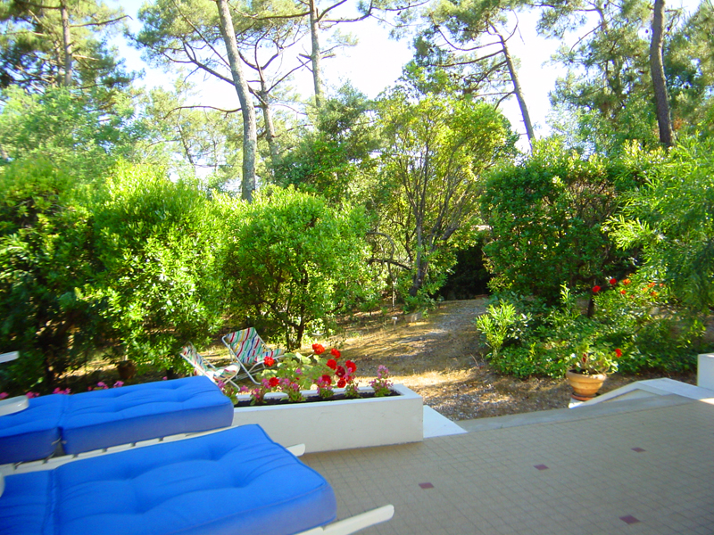 Proche de l'océan, villa à louer cet été au cap-ferret