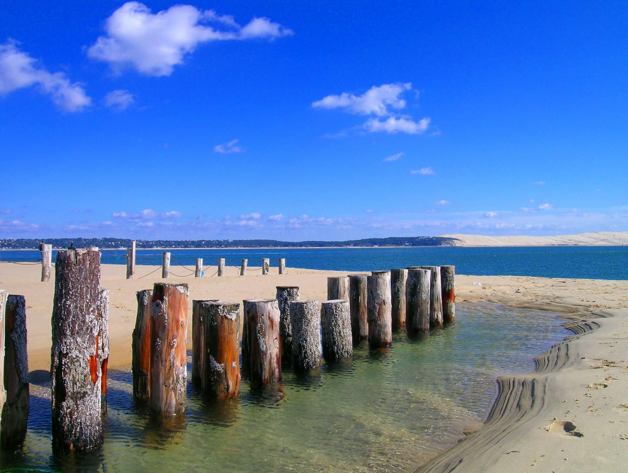 Location appartement T2 dans résidence avec piscine sécurisée - Cap-Ferret Centre