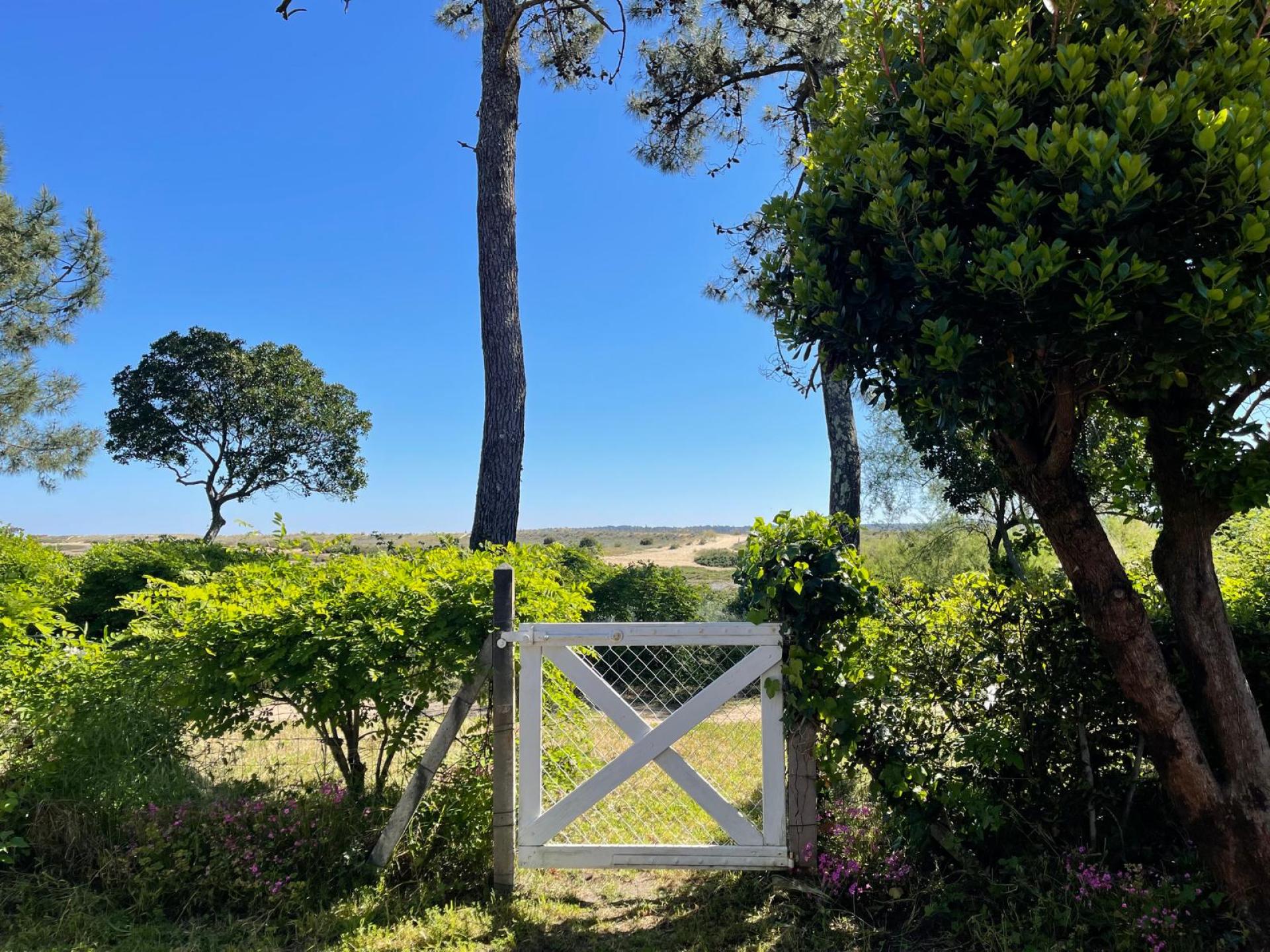 Location villa de charme en première ligne du Bassin - 4 chambres et 8 couchages - Cap Ferret