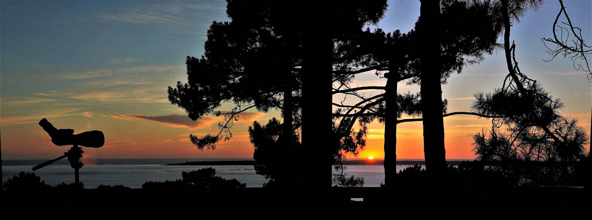 maison a louer vue mer arcachon