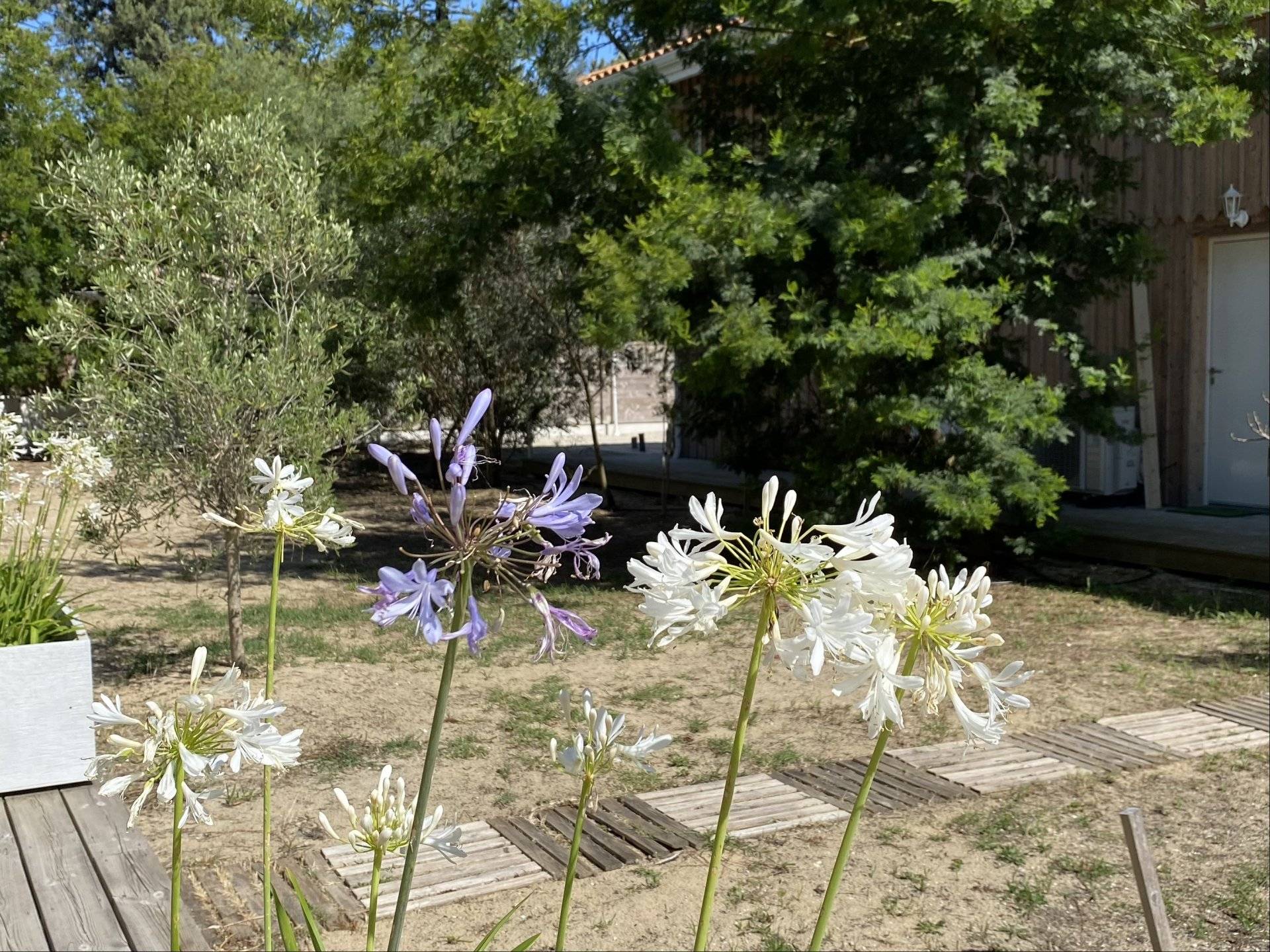 Location villa neuve 4 chambres 8 couchages CAP-FERRET