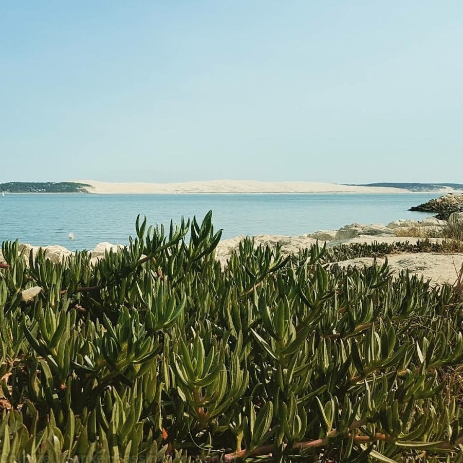location villa de charme Cap Ferret vue bassin