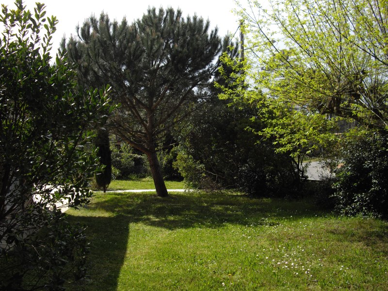 A louer villa centre du canon proche cap-ferret