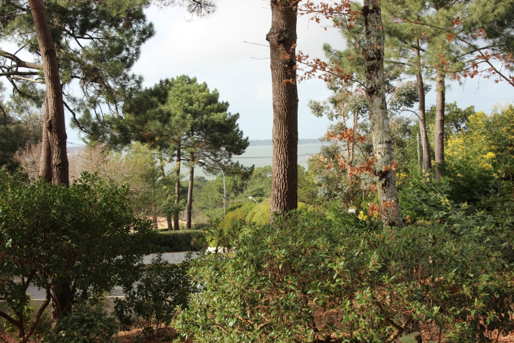 villa à louer proche plage