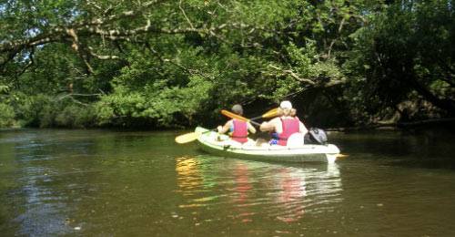 canoe sur la leyre bassin d'arcachon