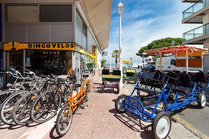 location de vélo bassin d'arcachon