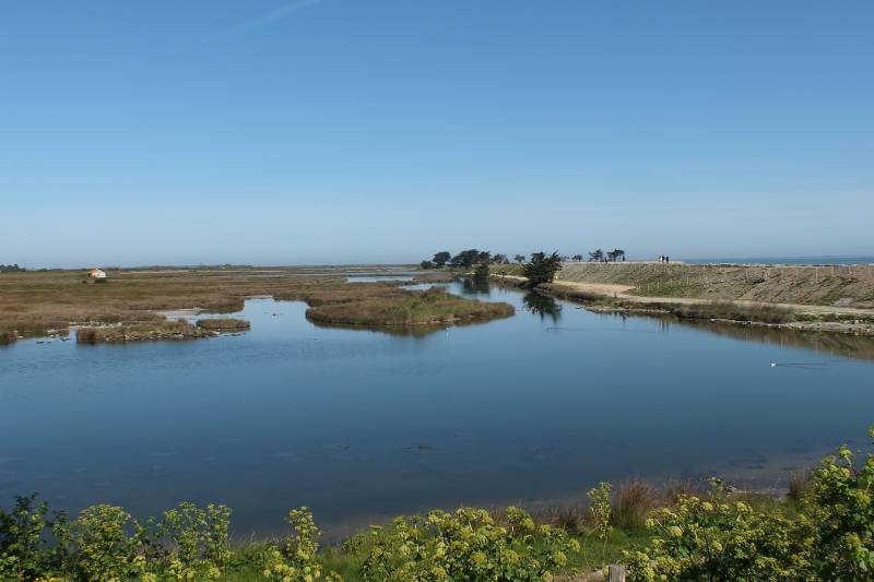 reserve ornithologique du bassin