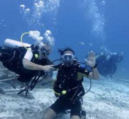 oceana arcachon plongée
