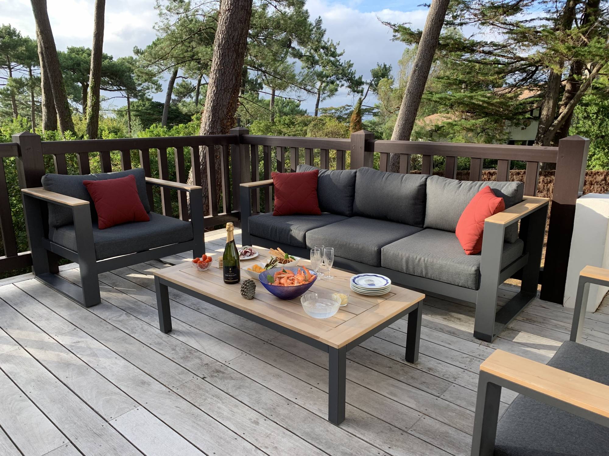 villa en location saisonnière 12 personnes arcachon