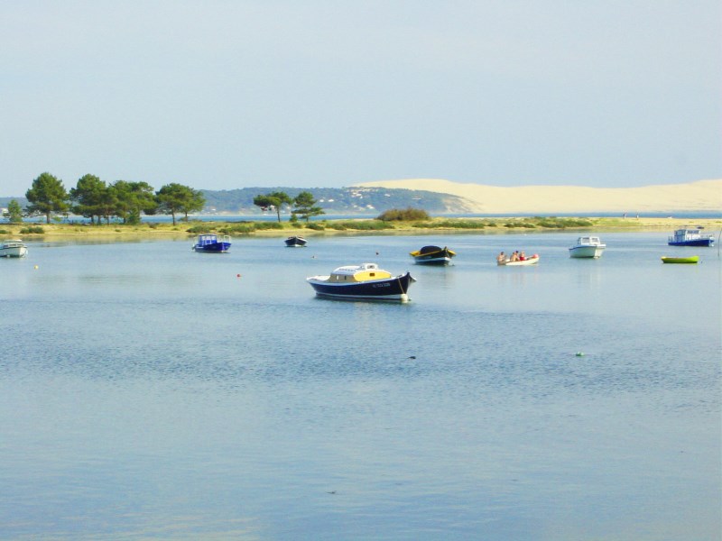 Nos prestations sur le secteur de Bassin d'Arcachon
